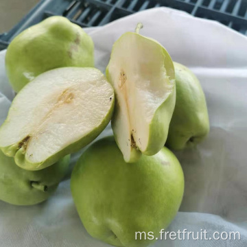 Pear segar berkualiti tinggi